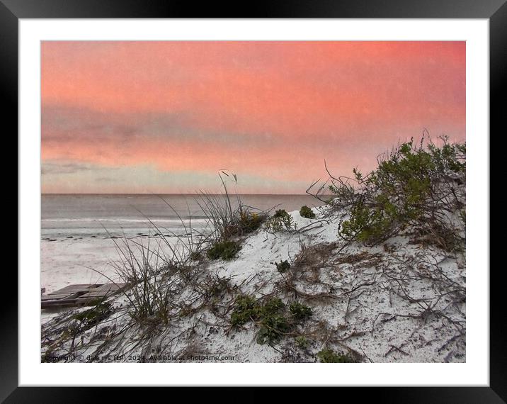 FLORIDA SUNSET SEA GRASS SOFT PINK Framed Mounted Print by dale rys (LP)