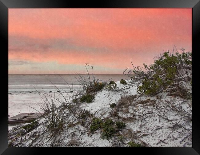 FLORIDA SUNSET SEA GRASS SOFT PINK Framed Print by dale rys (LP)