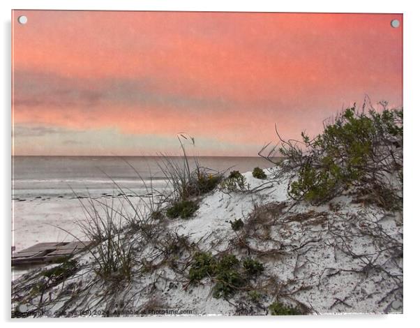 FLORIDA SUNSET SEA GRASS SOFT PINK Acrylic by dale rys (LP)
