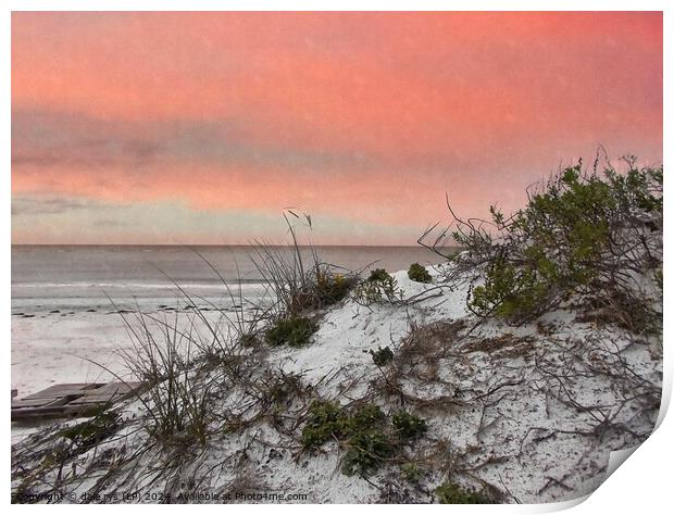 FLORIDA SUNSET SEA GRASS SOFT PINK Print by dale rys (LP)