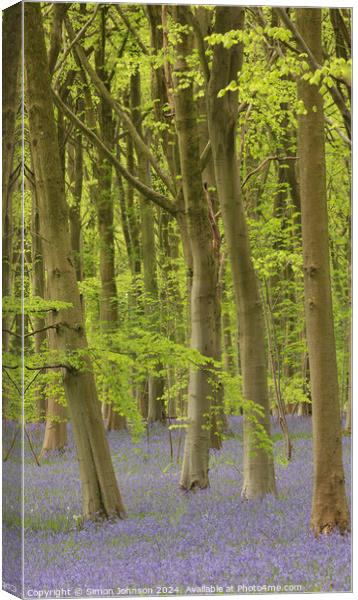 Trees and bluebells  Canvas Print by Simon Johnson