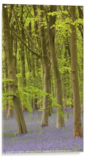 Trees and bluebells  Acrylic by Simon Johnson