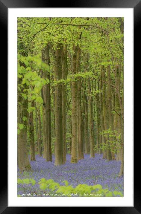 Bluebell wooyo Framed Mounted Print by Simon Johnson