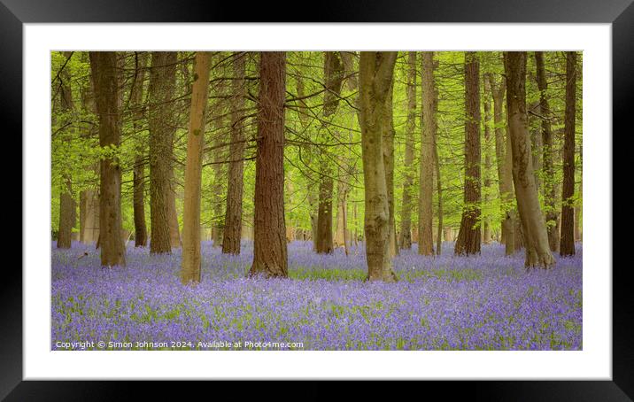 Bluebell Woodland  Framed Mounted Print by Simon Johnson