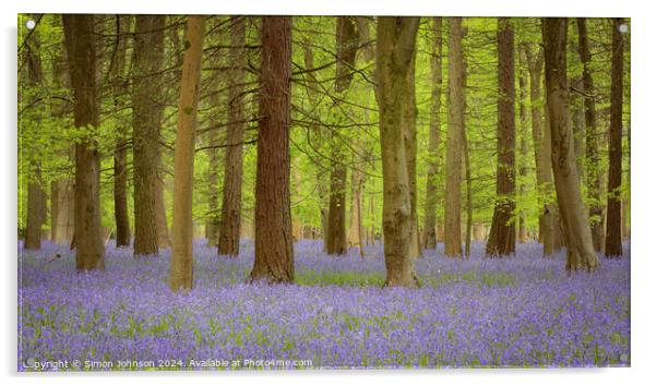 Bluebell Woodland  Acrylic by Simon Johnson