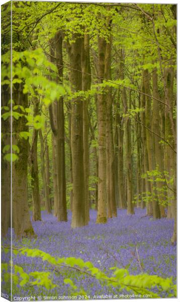 Bluebell Woodland  Canvas Print by Simon Johnson