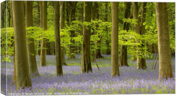 Blue woods  Canvas Print by Simon Johnson