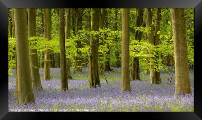 Blue woods  Framed Print by Simon Johnson