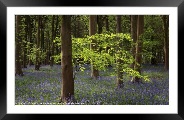 Sunlit tree and bluebells  Framed Mounted Print by Simon Johnson