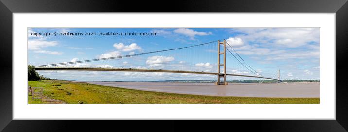 The Humber Bridge Panorama Framed Mounted Print by Avril Harris