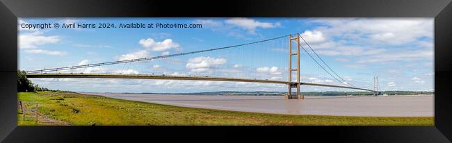 The Humber Bridge Panorama Framed Print by Avril Harris