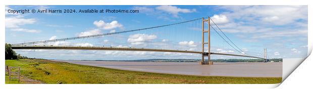 The Humber Bridge Panorama Print by Avril Harris
