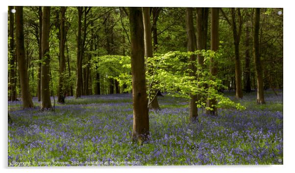 Sunlit tree and bluebells  Acrylic by Simon Johnson