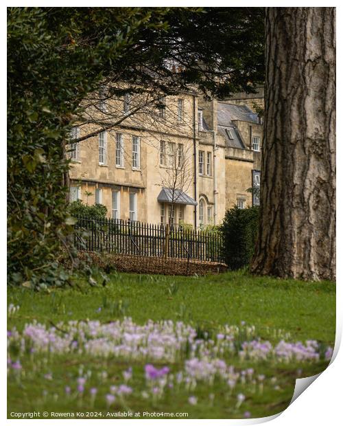 Photography of the Gravel Walk in cotswold city Bath, somerset, UK  Print by Rowena Ko