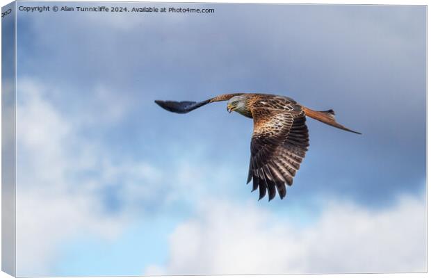 red kite Canvas Print by Alan Tunnicliffe