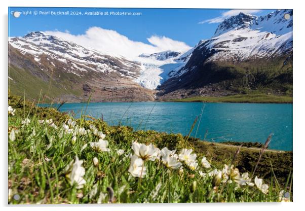 Engabrevatnet Lake and Enga Glacier Norway Acrylic by Pearl Bucknall