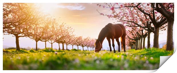 beautiful horse grazing on a green meadow surrounded by blooming peach trees Print by Guido Parmiggiani