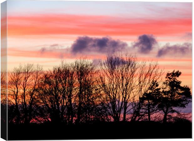 Cornish Sunset  Canvas Print by Beryl Curran