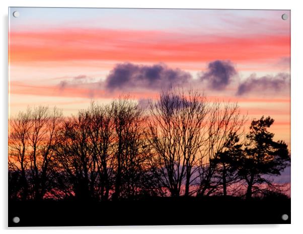 Cornish Sunset  Acrylic by Beryl Curran