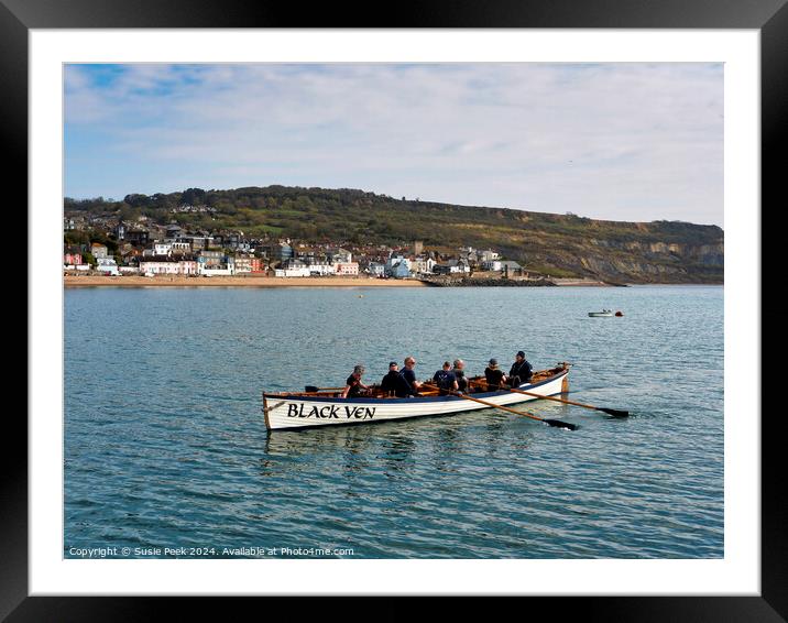 Gig Rowing at Lyme Regis Dorset Framed Mounted Print by Susie Peek
