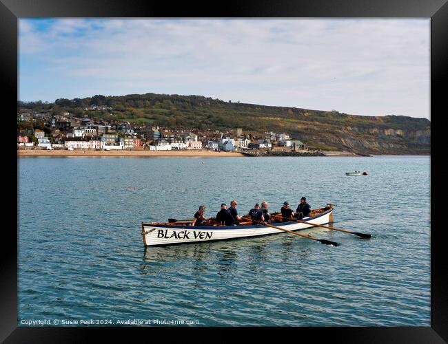 Gig Rowing at Lyme Regis Dorset Framed Print by Susie Peek