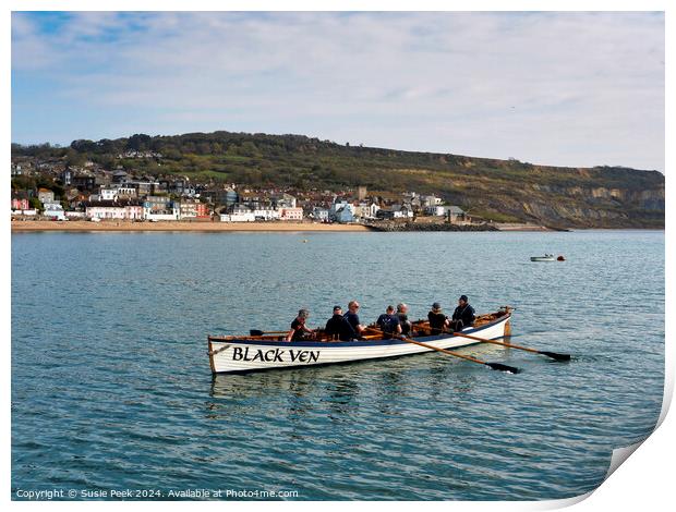 Gig Rowing at Lyme Regis Dorset Print by Susie Peek