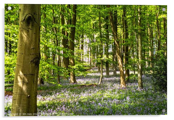 A beautiful English Bluebell Woodland.   Acrylic by Jim Key