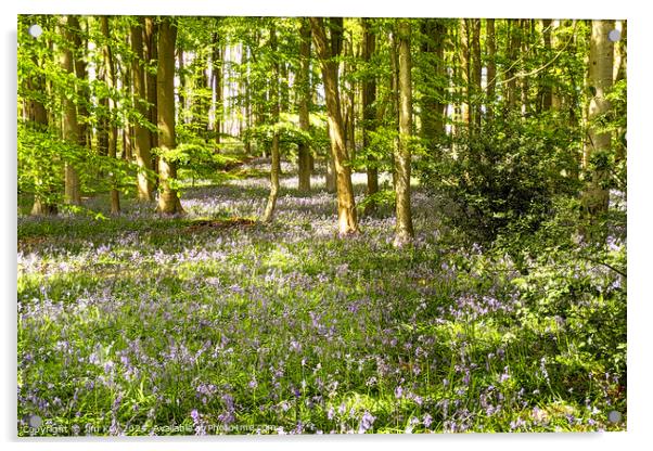 A beautiful English Bluebell Woodland.  Acrylic by Jim Key