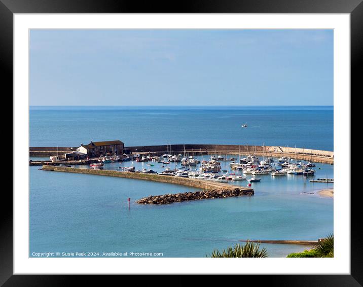 Harbour Overview at Lyme Regis Dorset Framed Mounted Print by Susie Peek
