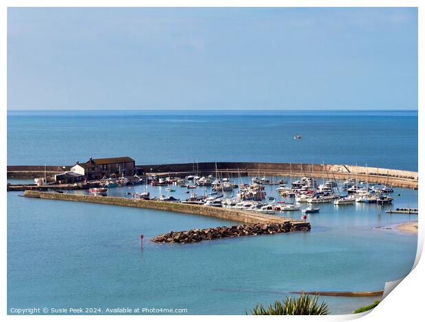 Harbour Overview at Lyme Regis Dorset Print by Susie Peek
