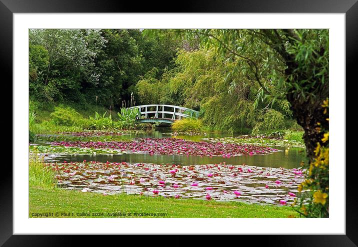 Water Gardens in Weymouth Framed Mounted Print by Paul J. Collins
