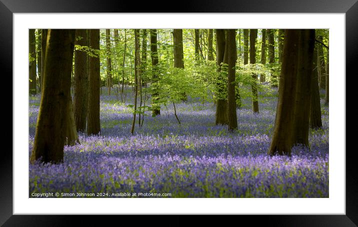 Sunlit Bluebells Framed Mounted Print by Simon Johnson