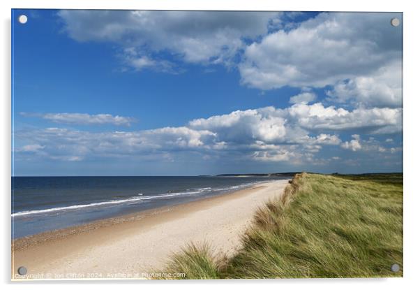 Scolt Head Island, Norfolk Acrylic by Jon Clifton