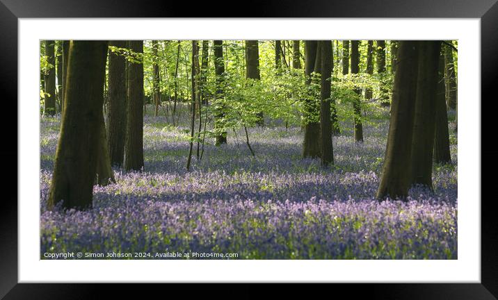  sunlit Bluebell woodland  Framed Mounted Print by Simon Johnson