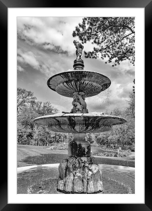 Fountain - Mono Framed Mounted Print by Glen Allen