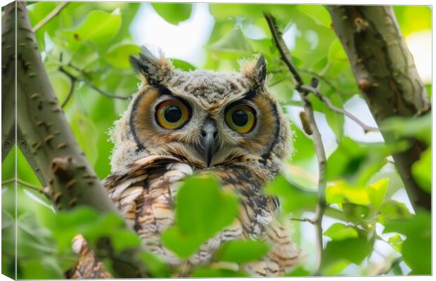 A stunning owl in nature looking at the camera. Canvas Print by Michael Piepgras