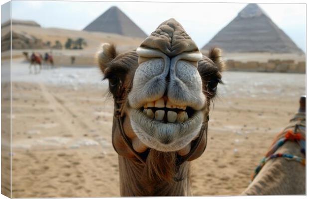 Close up of a funny camel with a pyramid and desert in the backg Canvas Print by Michael Piepgras