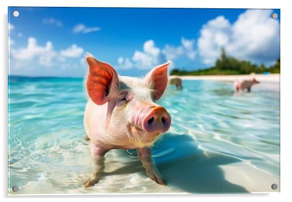 Happy pigs bathe in the ocean in a tropical paradise. Acrylic by Michael Piepgras
