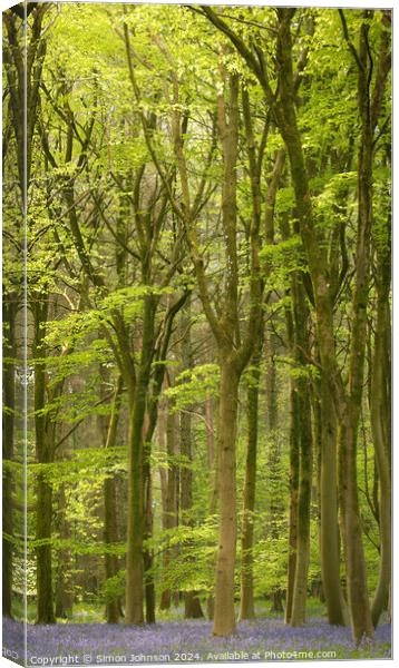 bluebell woodland Canvas Print by Simon Johnson