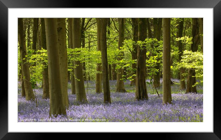  B luebells and beech woodland Framed Mounted Print by Simon Johnson