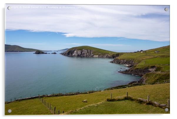 Dunmore Head, Dingle Peninsula, Ireland Acrylic by Derek Daniel