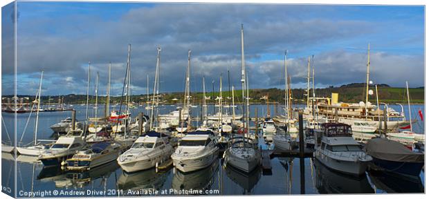 December in Falmouth Canvas Print by Andrew Driver