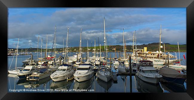 December in Falmouth Framed Print by Andrew Driver