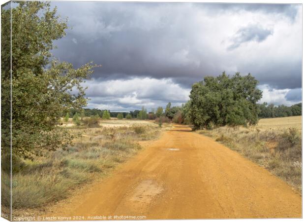 Roman road Via Trajana - Calzadilla de los Hermanillos Canvas Print by Laszlo Konya