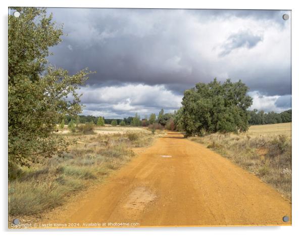 Roman road Via Trajana - Calzadilla de los Hermanillos Acrylic by Laszlo Konya