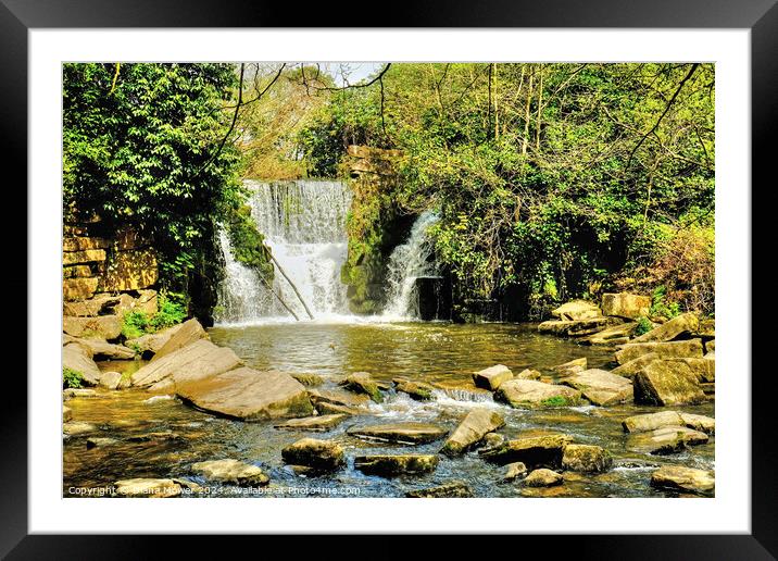  Penllergaer Waterfall Wales Framed Mounted Print by Diana Mower