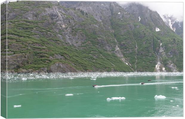 Small rib boat in ice and mist of the Tracy Arm Fjord, Alaska, USA Canvas Print by Dave Collins