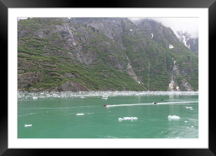 Small rib boat in ice and mist of the Tracy Arm Fjord, Alaska, USA Framed Mounted Print by Dave Collins