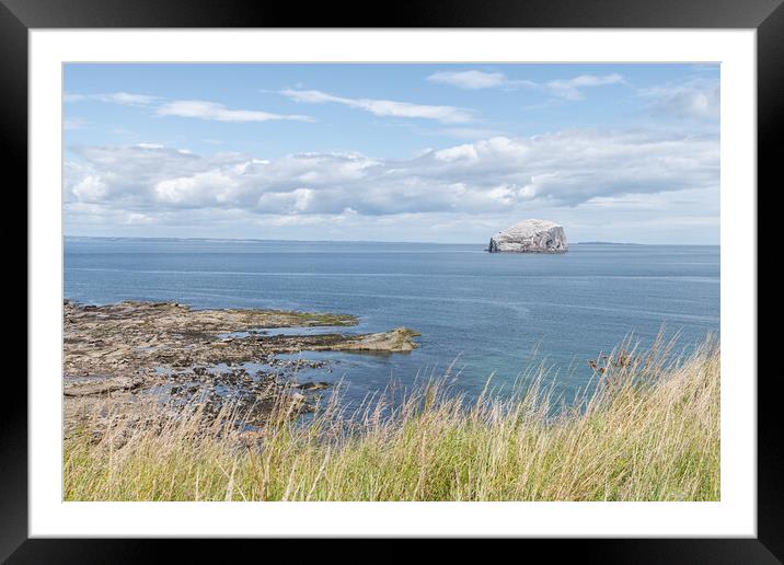 Bass Rock Nature Reserve in the Firth of Forth, Bass Rock, Scotland Framed Mounted Print by Dave Collins