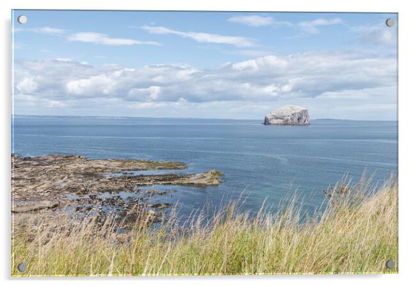Bass Rock Nature Reserve in the Firth of Forth, Bass Rock, Scotland Acrylic by Dave Collins